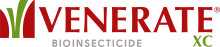 Venerate